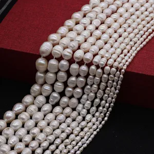 Détails macro de perles d'eau douce blanches de diverses tailles avec éclat naturel