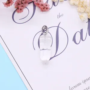 Heldere kristallen zeshoekige prisma hanger met zilveren sluiting op florale achtergrond
