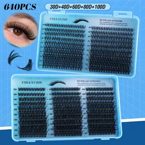 DIY cluster lash extension kit with 640 pieces in 30D to 100D volume and 8-16mm lengths