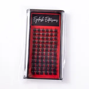 Macro view of 12 rows of individual segmented black eyelash extensions in red box