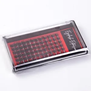 Detailed view of individual segmented eyelash extensions in a black and red storage box