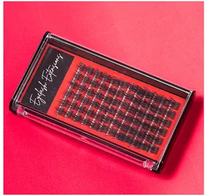Detailed view of individual cluster eyelash extensions in a clear storage box