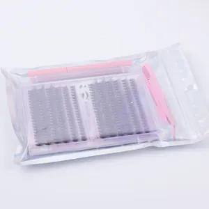 Détail du kit d'extension de cils DIY avec boîtier grande capacité, pince et brosse rose