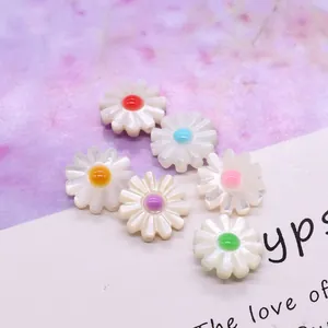 Six colorful pearlized daisy shell beads for DIY jewelry making and necklace crafts