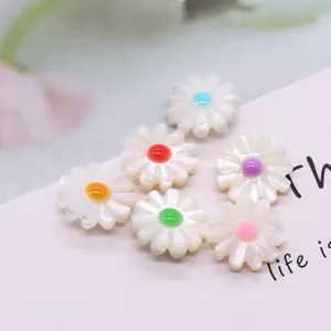 Natural shell daisy flower beads with colorful centers for DIY jewelry necklace making