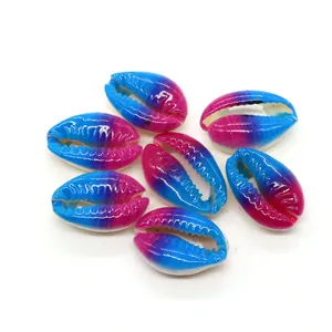 Macro view of blue and pink gradient natural cowrie shells for DIY jewelry making