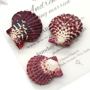 Natural Scallop Shell Beads For DIY Necklace Jewelry Making Decorative Sea Shell With Purple White Ripples No Hole Shell Crafts