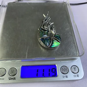 Gedetailleerde gewichtsmeting van de garnalenvormige abalone schelpbros op 11,19 g