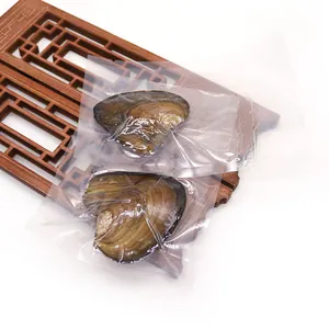 Vacuum sealed pearl oysters in clear packaging with a single pearl inside for DIY jewelry