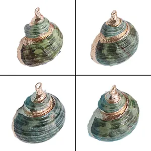 Natuurlijke Groene Turbo Schelp Conch Hanger Gegalvaniseerde Gouden Rand Charm Voor DIY Sieraden Maken Ketting Accessoires