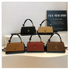 Collection of small square bags with knot handles and gold twist locks in five colors