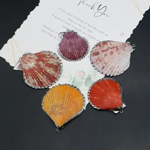 Pendentifs en coquillage naturel avec bords argentés en cinq couleurs vives variées