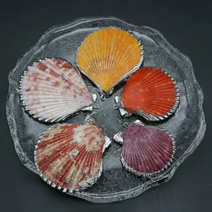 Lot de cinq pendentifs en coquillage naturel coloré avec bords argentés pour bijoux DIY