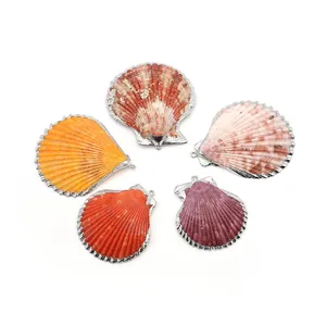 Lot de 5 pendentifs coquillages naturels colorés avec bord argenté pour bijoux DIY