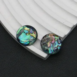 Ovale Abalone-Muschel Cabochons mit irisierendem Glanz auf silbernem Displayständer