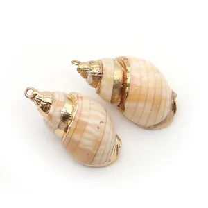 Vue macro de pendentifs en coquillage naturel avec bords dorés et boucles en métal