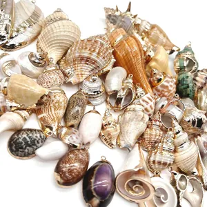 Pendentifs coquillages naturels avec bords dorés et anneaux pour création de bijoux DIY