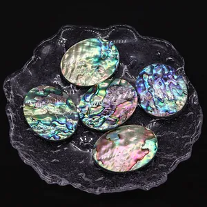 Ovale natürliche Abalone-Muschel Cabochons mit Irisieren für DIY Schmuckherstellung