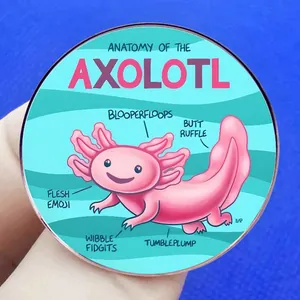Detail shot of a round axolotl anatomy pin badge with fun English labels and illustrations