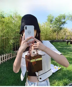 Brown transparent acrylic box bag with chunky chain strap worn in a garden setting