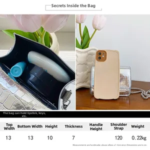 Detailed size chart for silver stone texture mini bag with chain strap and dimensions