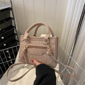 Damen Koreanische Mode Krokodilmuster Filz Mini Umhängetasche Retro Kleine Quadratische Handtasche Mit Quaste Goldener Hardware