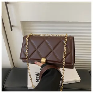 Detail of dark brown quilted square bag with gold metal buckle and chain strap