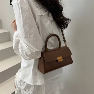 Deep brown minimalist crossbody bag with gold metal clasp on a white background