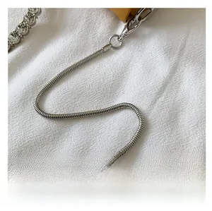 Polished silver snake chain strap detail for minimalist handbag with high metallic shine