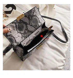 Detail of snake skin pattern square bag showing the main compartment and gold buckle