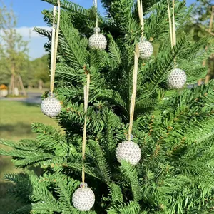 6-piece set of silver rhinestone Christmas balls hanging on a green tree branch