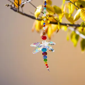 Colorful dragonfly crystal suncatcher with iridescent wings hanging from a tree branch