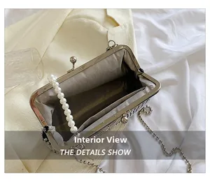 Internal display of tweed box bag showing grey lining, pearl handle and chain strap