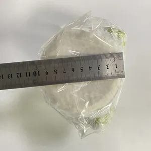 Top view of plush Easter bunny base with a 12.5cm diameter measurement on scale