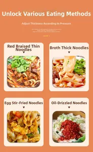Various noodle styles including braised and fried sliced noodles shown in a four-grid detail