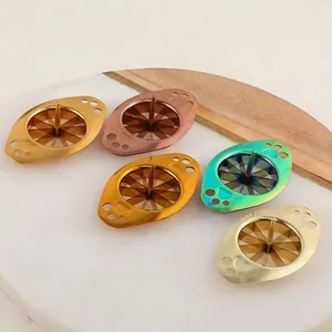 Lot de 5 trancheuses en acier inoxydable 304 avec placage métallique multicolore pour cuisine