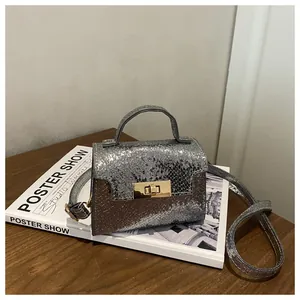 Detail of silver snake embossed mini bag with golden square twist lock on a book