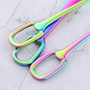 Rainbow plated stainless steel cutlery set with modern rainbow finish handles