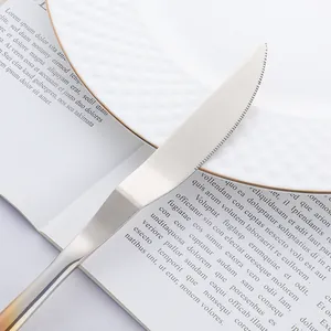 Close-up of modern V-shaped stainless steel steak knife with micro-serrated blade edge