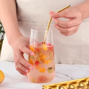304 stainless steel ice mold set with transparent glass cup and golden metal straw