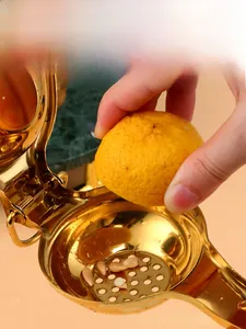Close-up of golden stainless steel manual lemon squeezer with lever design and filter holes