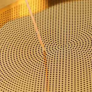 Golden 304 stainless steel kitchen oil basin with fine mesh strainer and lid