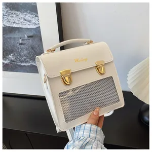 Detail of the cream square ita bag with gold twist lock and transparent front window