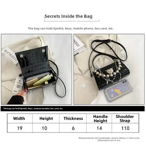 Tableau des tailles et guide de capacité pour mini sac à main noir à motif crocodile