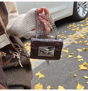 Detail of mini litchi pattern bag with silver chain and metal lock in autumn setting