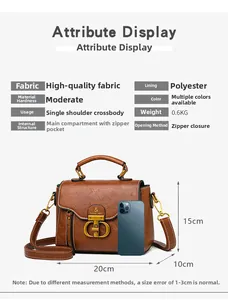 Detailed view of brown lychee grain handbag showing dimensions 20x10x15cm and metal handle