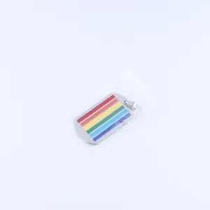 Rainbow striped stainless steel dog tag necklace with a polished finish and metal bail