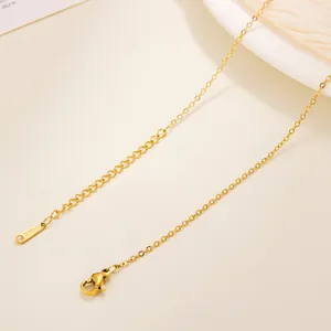 Macro detail of gold-plated stainless steel lip chain with lobster clasp and S.Steel tag