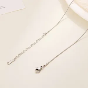 Detail of stainless steel necklace with lobster clasp, extender chain and S.steel tag