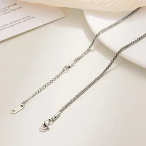 Detail of silver stainless steel lip chain with lobster clasp and S.STEEL logo tag